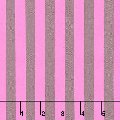 Tula Pink's True Colors - Tent Stripe Cosmic Yardage