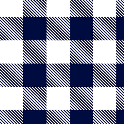 Cuddle® Prints - Bufflao Check Navy Snow Minky Yardage